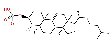 4a,14a-Dimethyl-5a-cholest-9(11)-en-3b-ol 3-sulfate